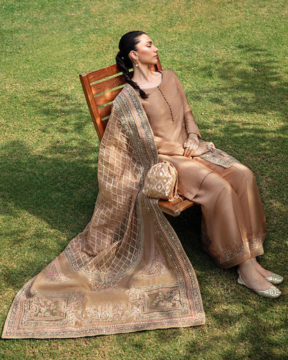 Faiza Saqlain | Embroidered Raw Silk Festive Wear