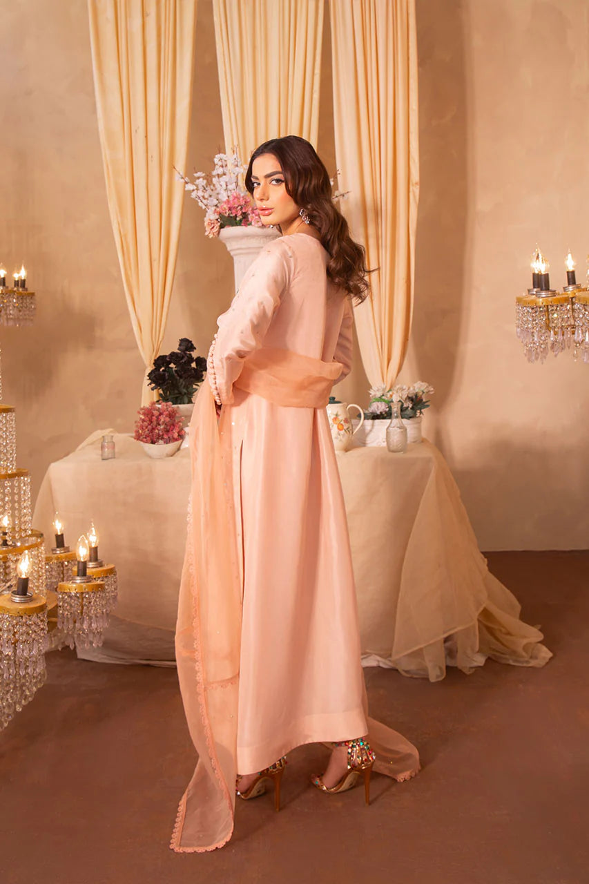 Amani | Embellished Silk Dress