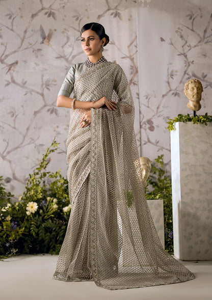 Rezene | Festive Wear Embroidered Net Saree