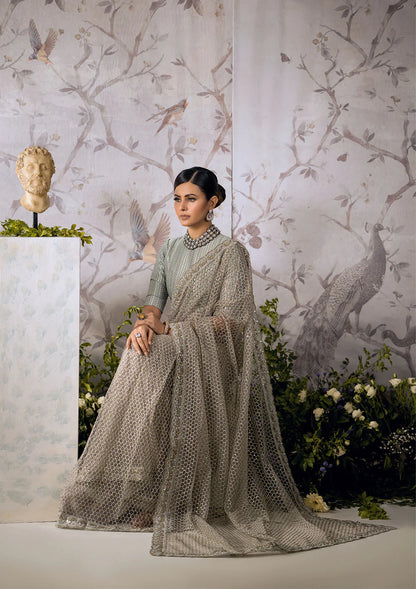 Rezene | Festive Wear Embroidered Net Saree
