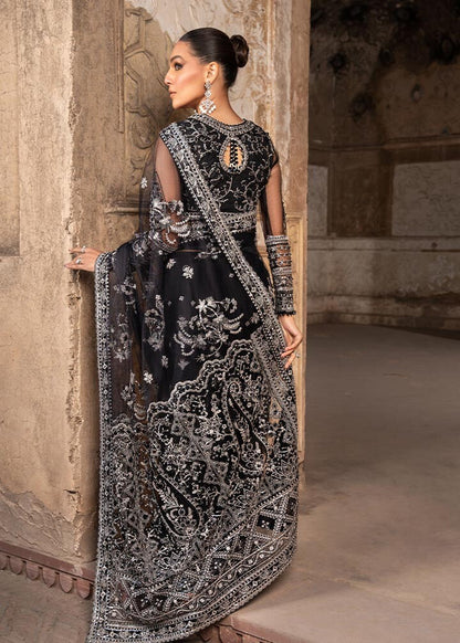 Chandni | Net Embellished & Embroidered Saree